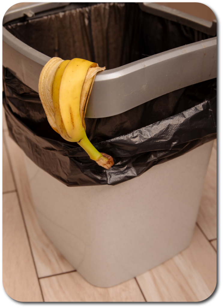 Limpiar-caneca-basura-bacterias