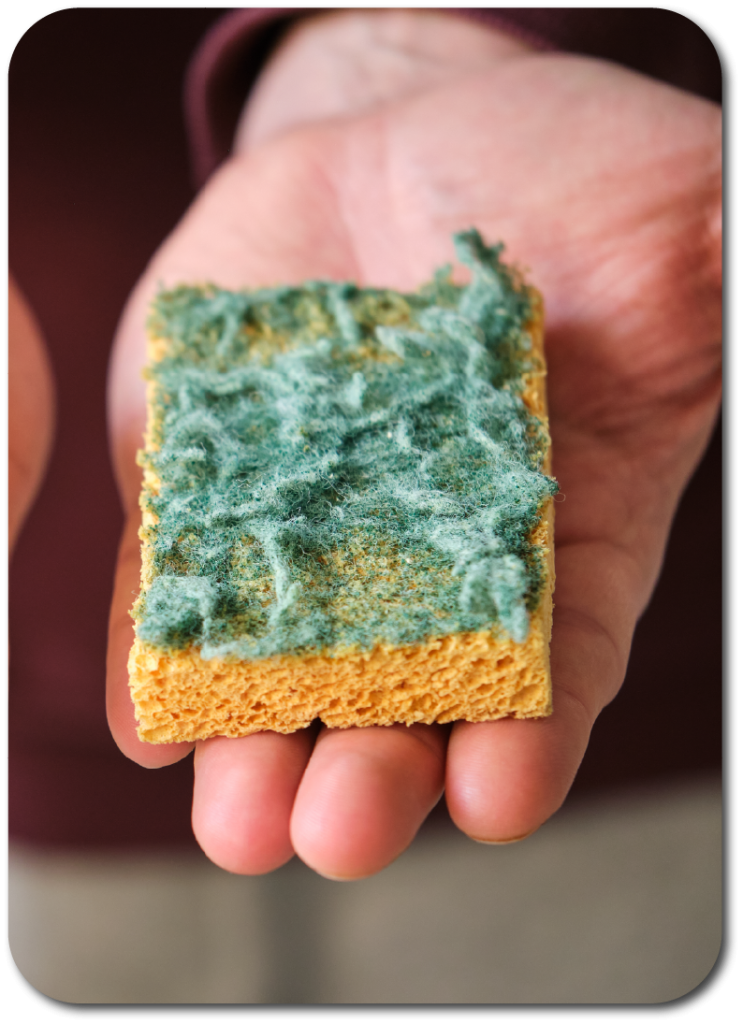 Limpiar-esponja-cocina-bacterias