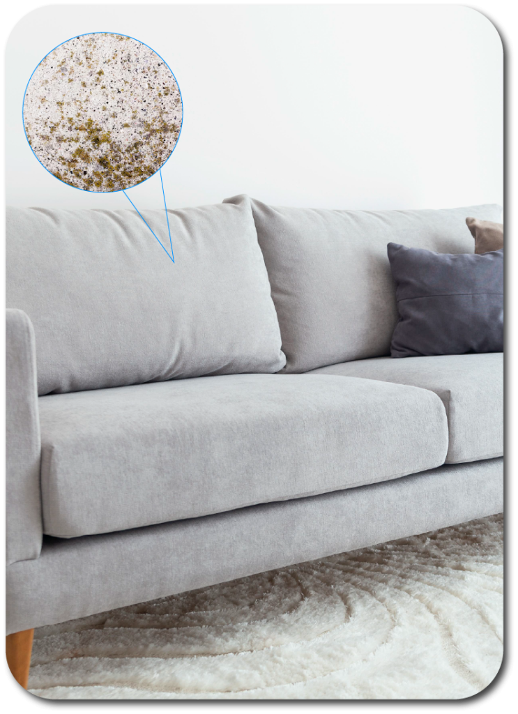 imagen-por qué es importante limpiar los muebles