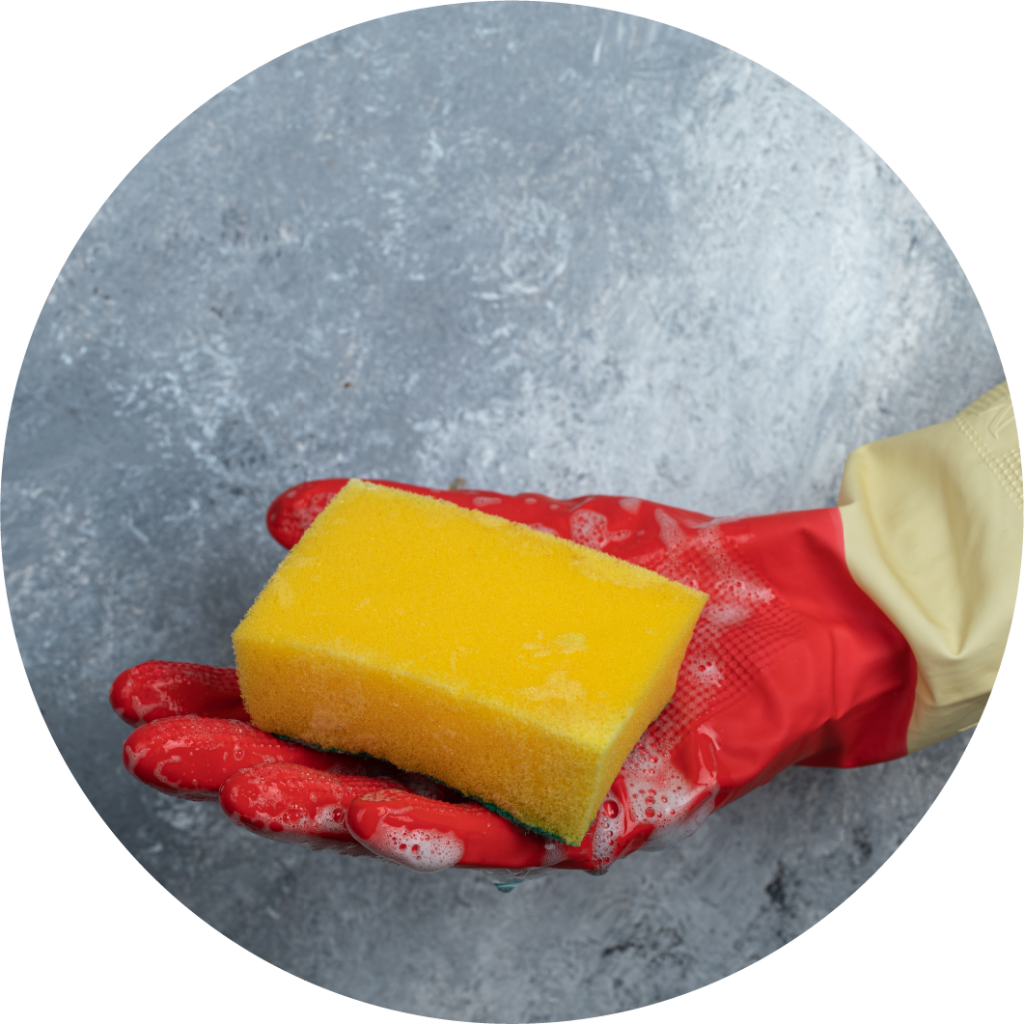 Esponja de cocina limpieza de bacterias