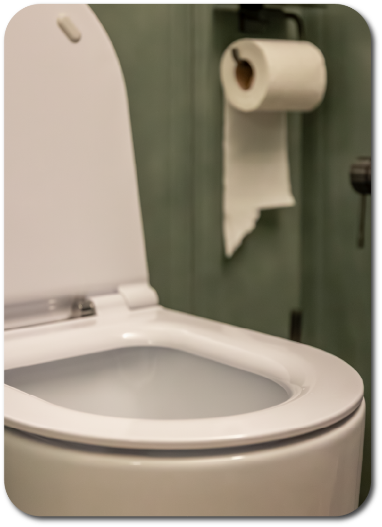 limpiar-baño-malos-olores