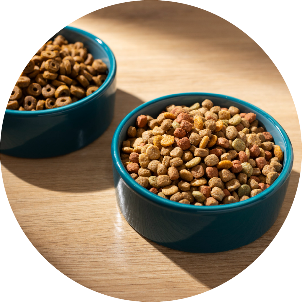 limpiar recipientes de alimentos de mascotas