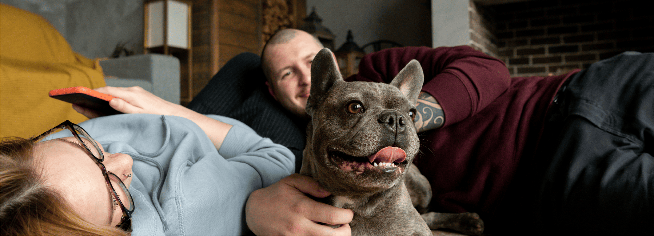 como limpiar tu casa si tienes mascotas