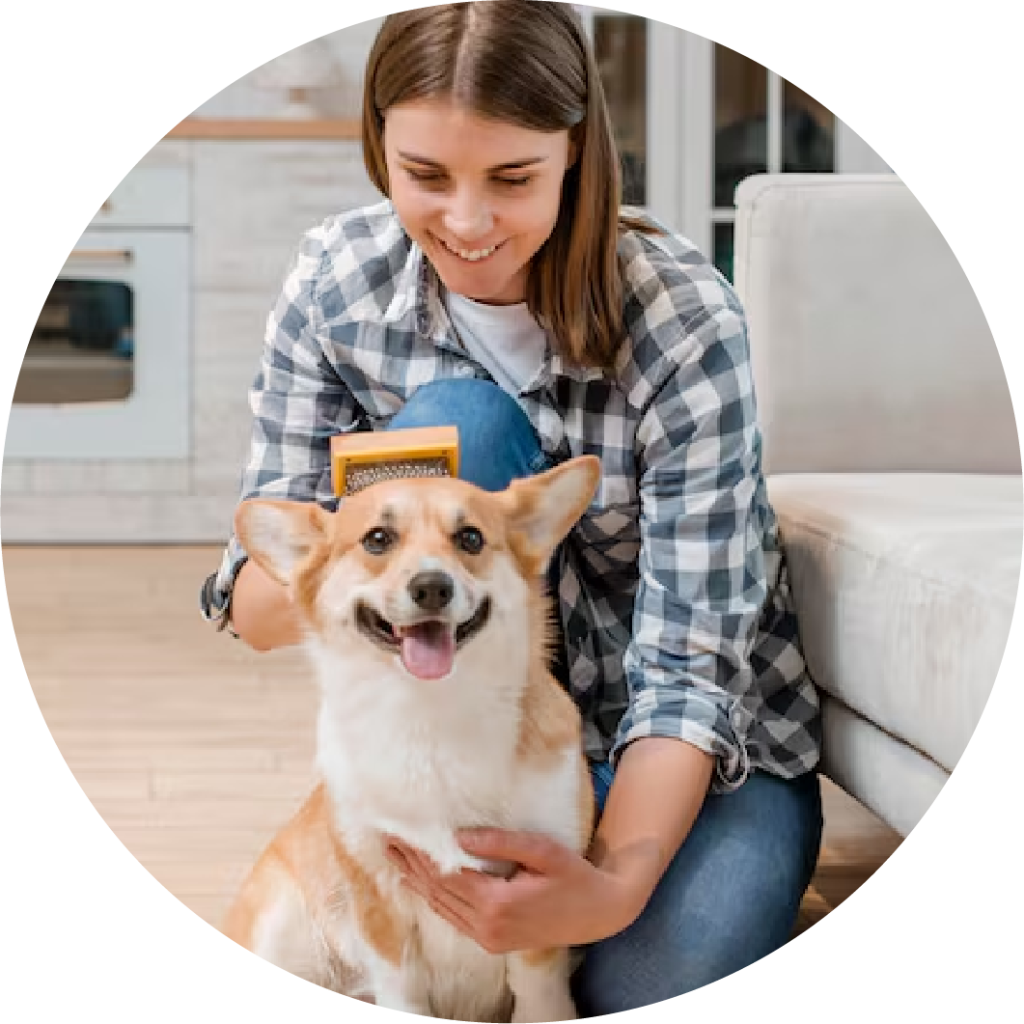 cepillar mascota para limpieza
