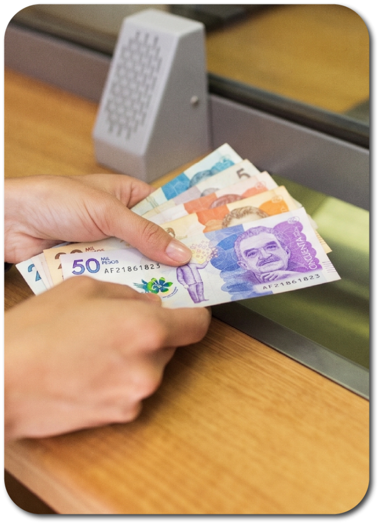imagen-Realizar aportes mensuales de empleada doméstica